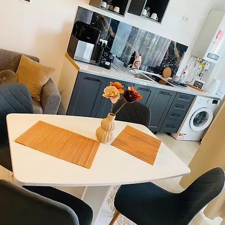 Toulouse Apartment *